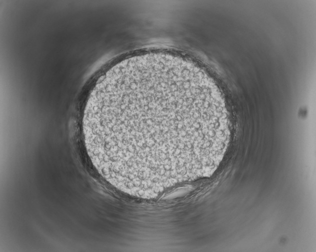 X0000116611400201001221309