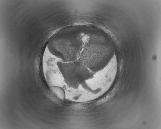 X0000116611401201001221309