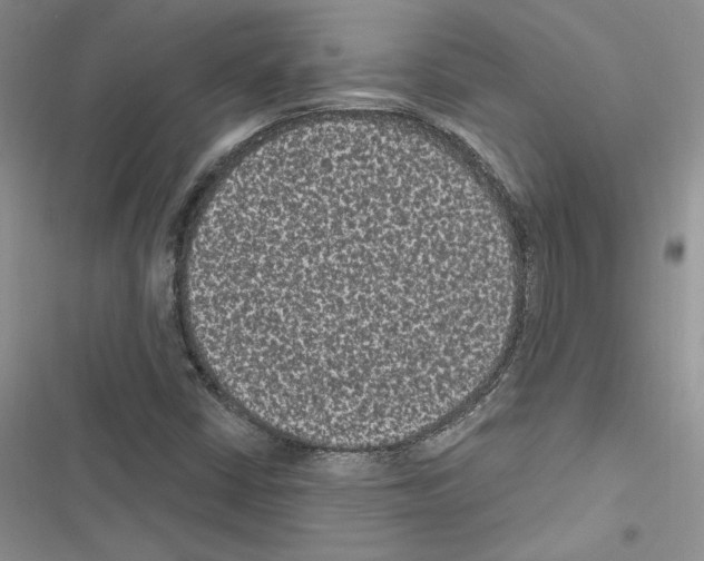 X0000116611402201001221309