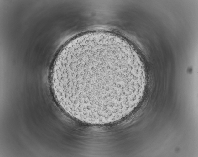 X0000116611404201001221309