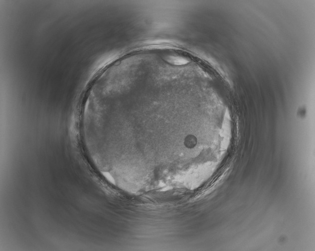 X0000116611405201001221309