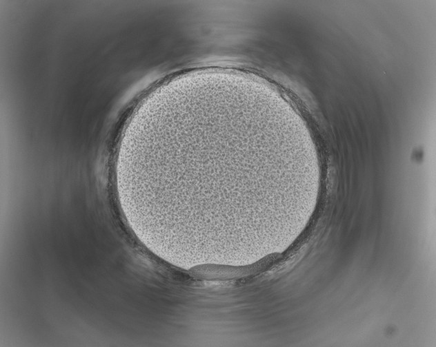 X0000116611406201001221309