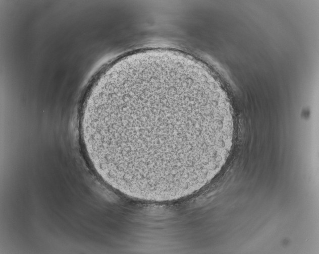 X0000116611408201001221309