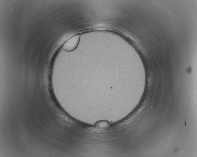 X0000116611410201001221309