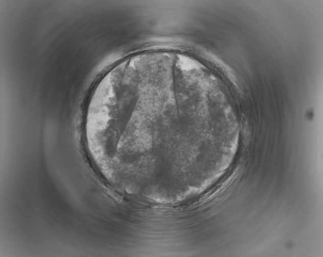 X0000116611411201001221309