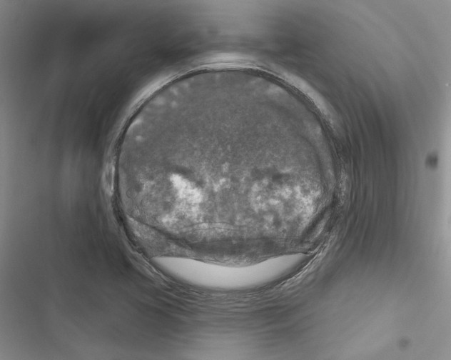 X0000116611413201001221309