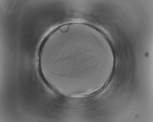 X0000116611414201001221309