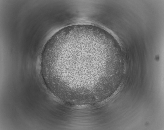 X0000116611415201001221309