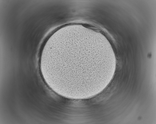 X0000116611416201001221309