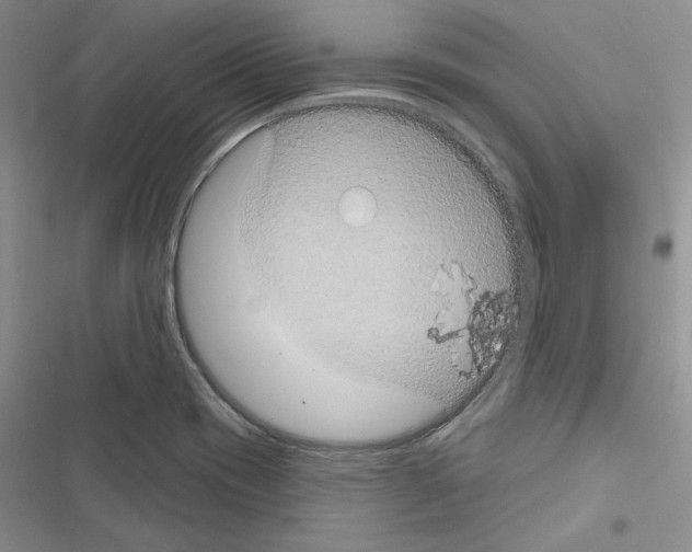 X0000116611417201001221309