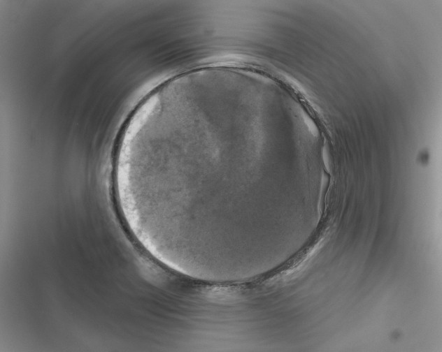 X0000116611418201001221309