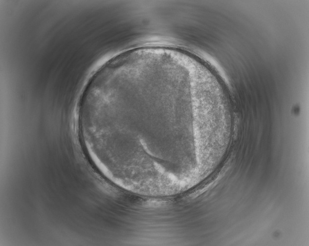 X0000116611419201001221309