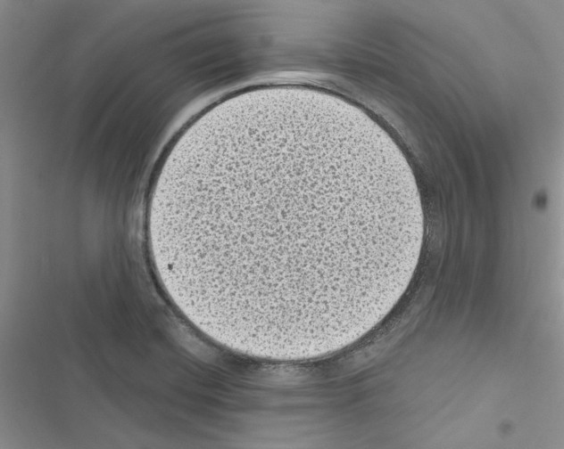 X0000116611420201001221309