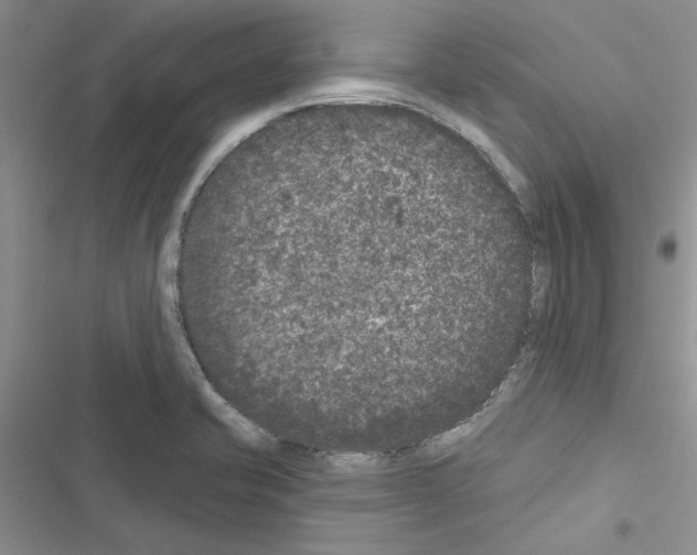 X0000116611421201001221309