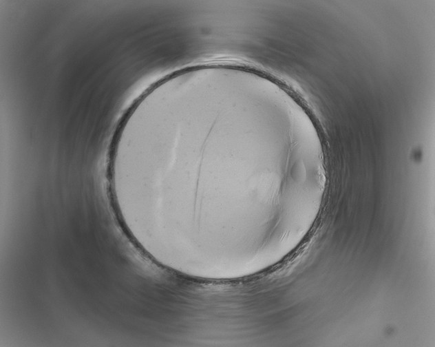 X0000116611422201001221309