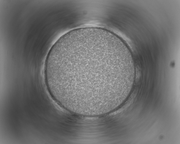 X0000116611423201001221309