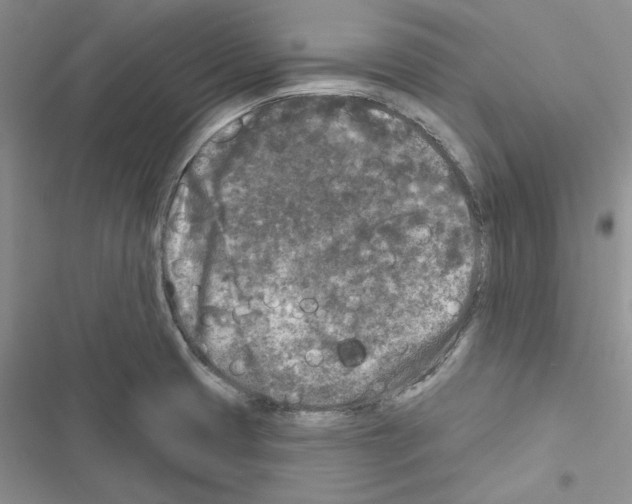 X0000116611425201001221309