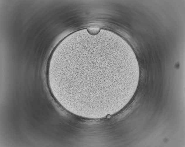 X0000116611426201001221309