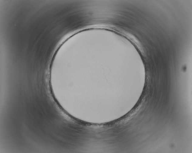 X0000116611428201001221309