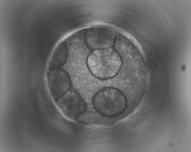 X0000116611429201001221309