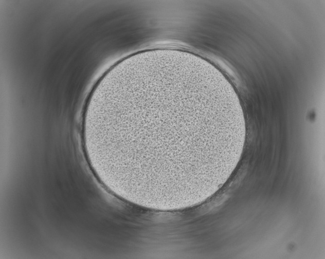 X0000116611430201001221309