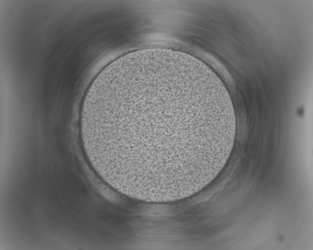 X0000116611431201001221309