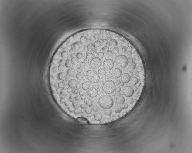 X0000116611432201001221309