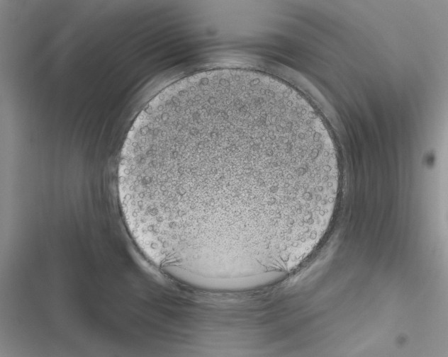 X0000116611433201001221309