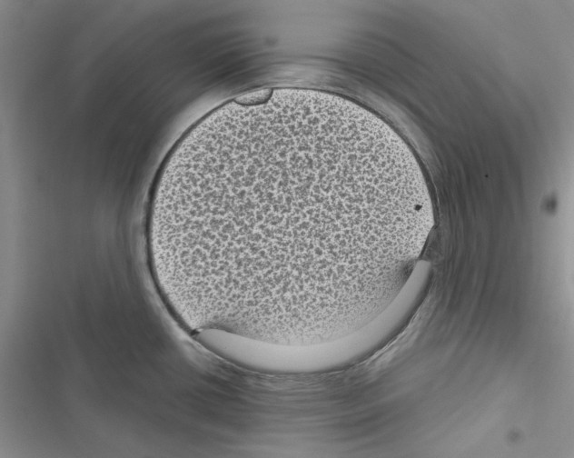 X0000116611434201001221309