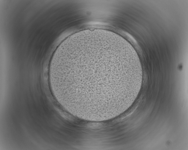 X0000116611435201001221309