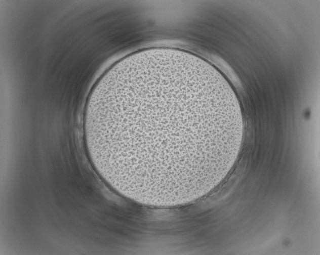 X0000116611436201001221309