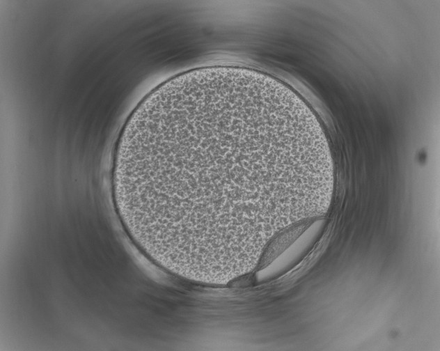 X0000116611438201001221309