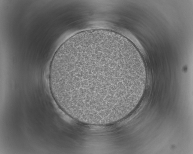 X0000116611439201001221310