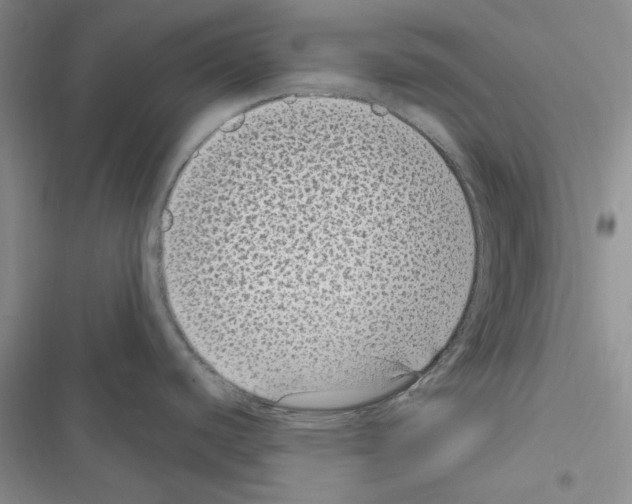 X0000116611440201001221310