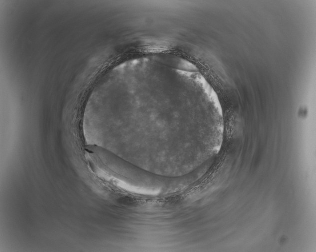 X0000116611441201001221309