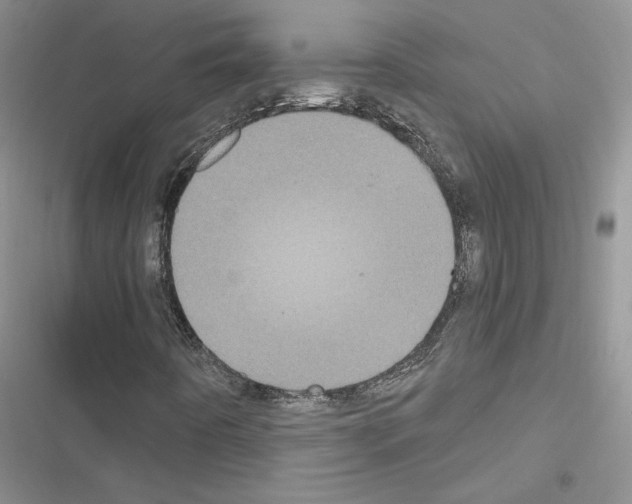 X0000116611442201001221309