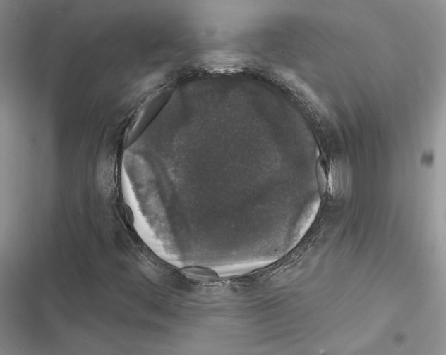 X0000116611444201001221309