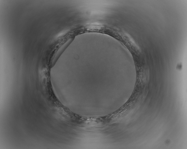 X0000116611445201001221309