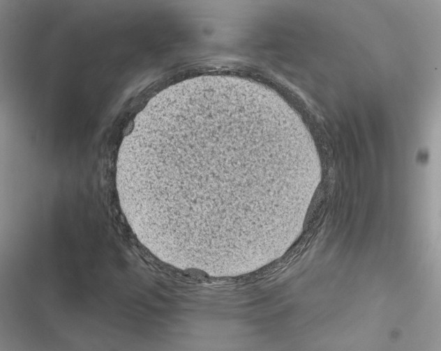 X0000116611447201001221309