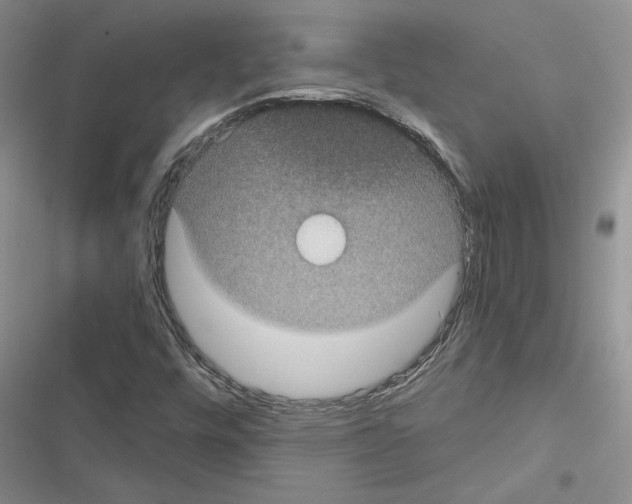 X0000116611448201001221309