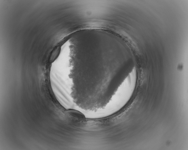 X0000116611449201001221309