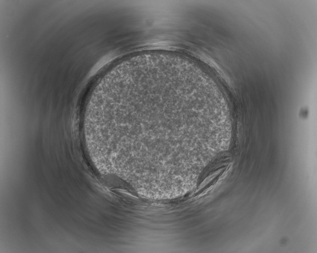 X0000116611450201001221309