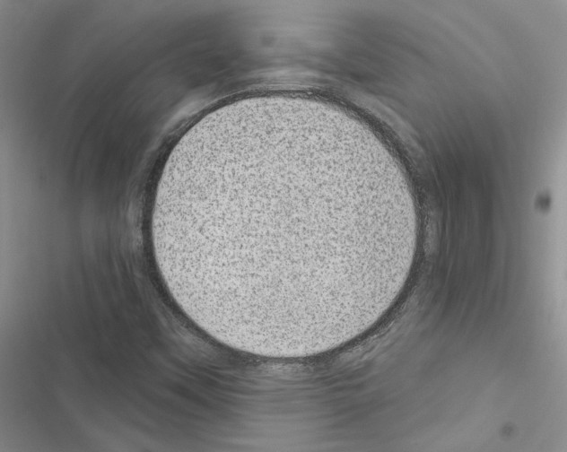 X0000116611451201001221309