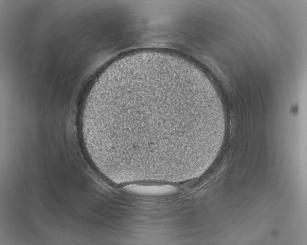 X0000116611452201001221309