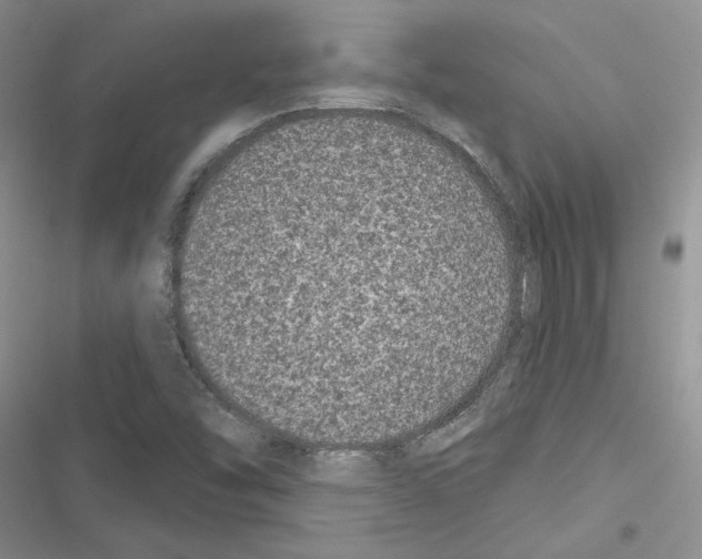 X0000116611454201001221309