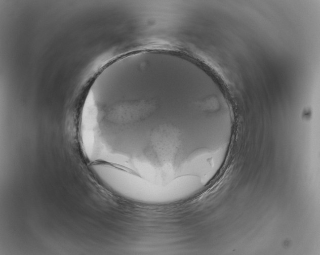 X0000116611455201001221309