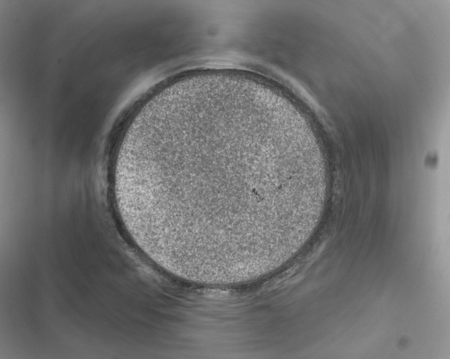 X0000116611456201001221309