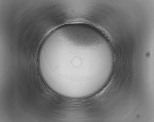 X0000116611457201001221309