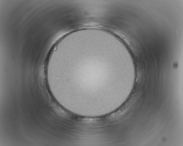 X0000116611458201001221309