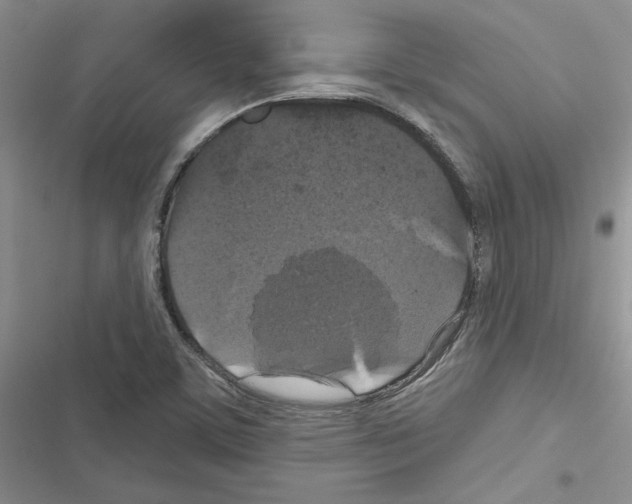 X0000116611459201001221309